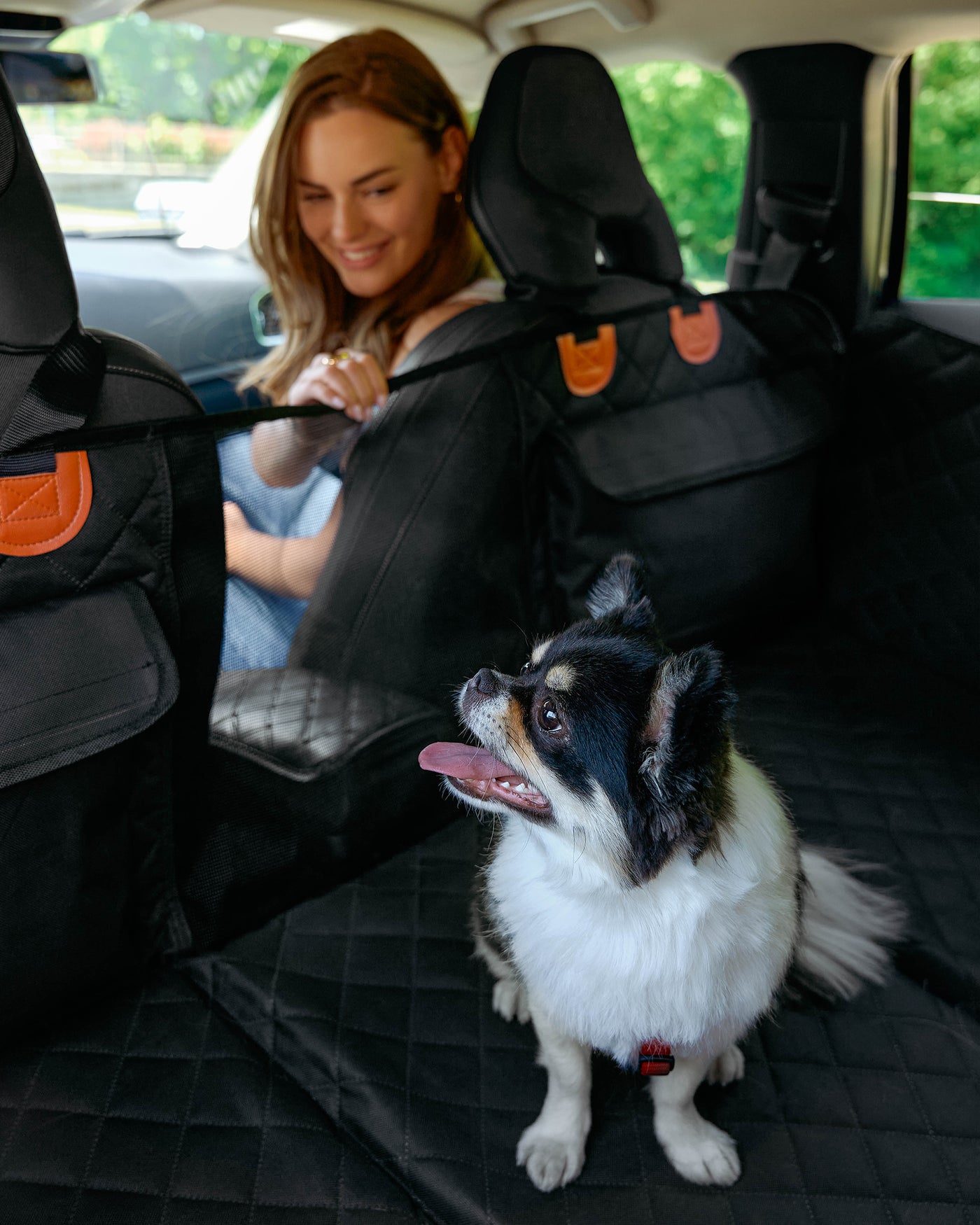 Pet Lounge