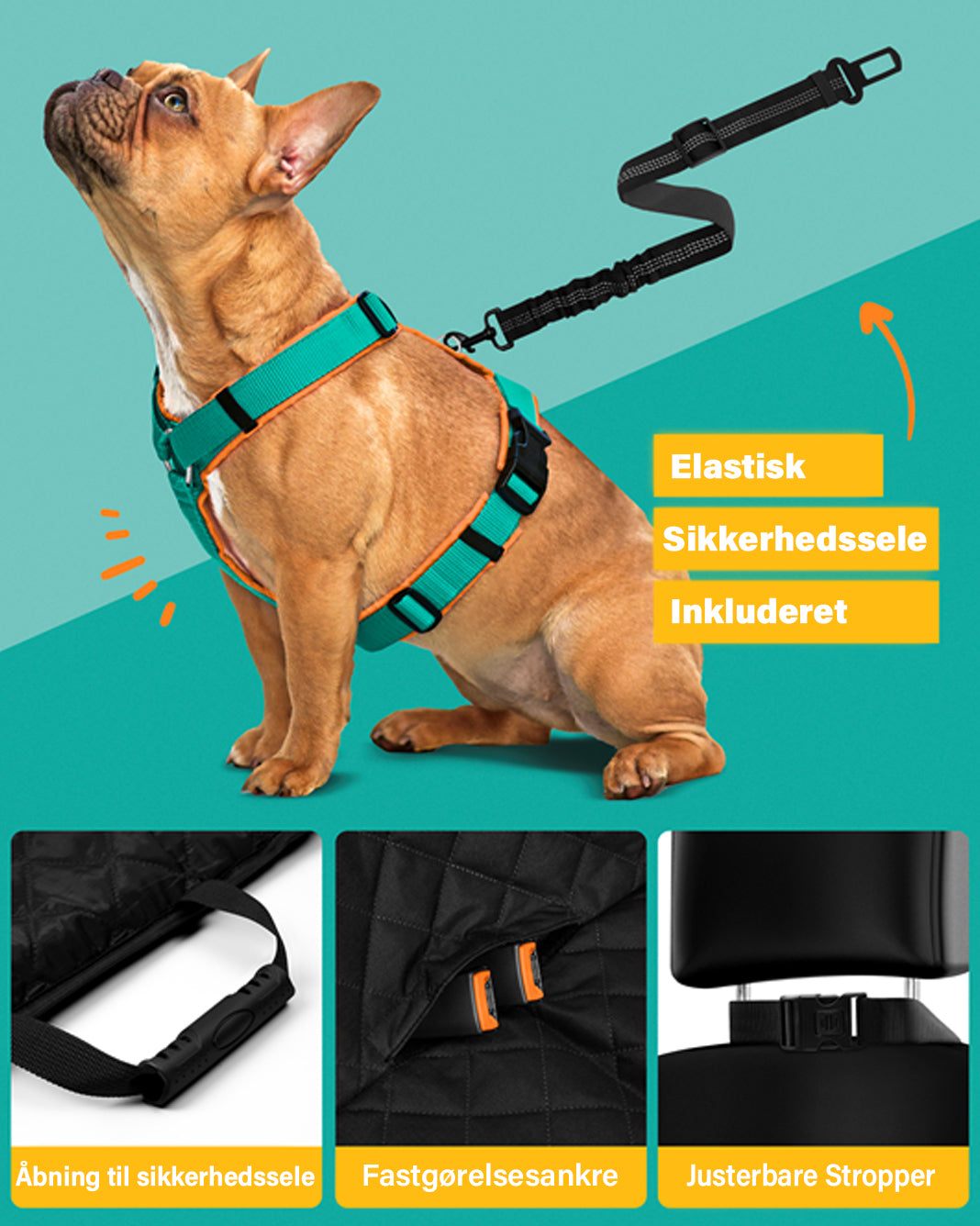 Pet Lounge